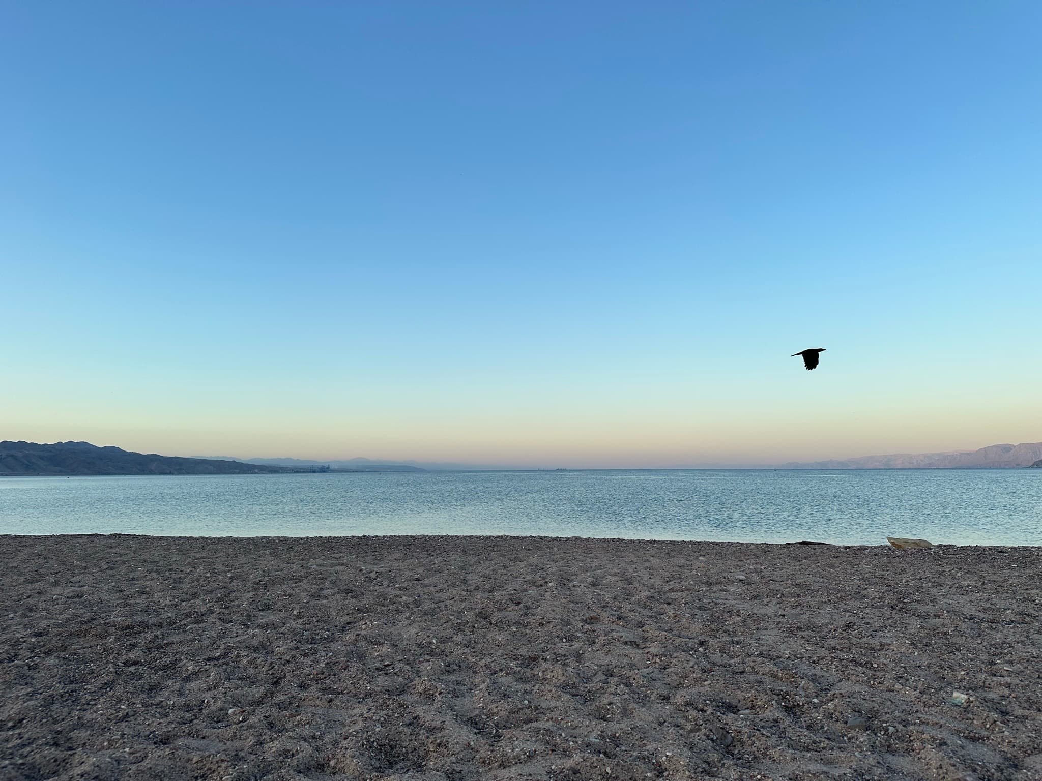 Still Horizon